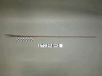 藏品(三鏃竹箭)的圖片